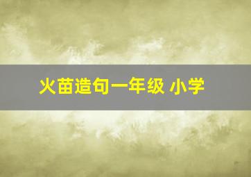 火苗造句一年级 小学